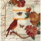 Jardin De Papillons I  - XXKP13480  -  PRINT