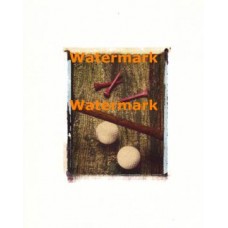 Wood Study II  -  #XXKL6291  -  PRINT