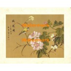 Peony Blossom I  - #XXKL6378  -  PRINT