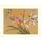 Peony Blossom II  - #XXKL6379  -  PRINT