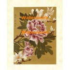 Songbird I  - #XXKL6380  -  PRINT