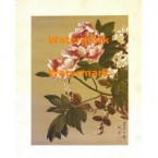 Songbird II  - #XXKL6381  -  PRINT