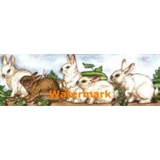 Bunnies In The Watermelons  - #YORYQ12-1  -  PRINT