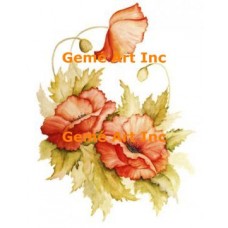 Poppies  - #SOR85  -  PRINT