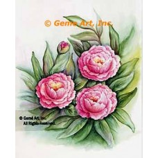 Pink Roses  - #SOR108  -  PRINT