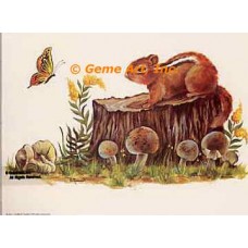 Wildlife  - #SOR15  -  PRINT