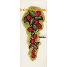 Raspberries  - #SOR18  -  PRINT