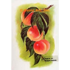 Peaches  - #SOR3  -  PRINT