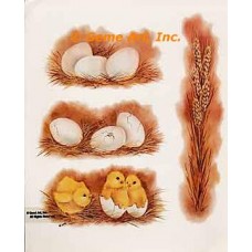 Just Hatched  - SOR53  -  PRINT