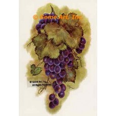 Grapes  - #SOR6  -  PRINT