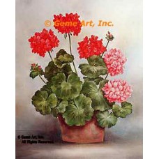 Geraniums In Planter  - #SOR75  -  PRINT