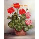 Geraniums In Planter  - #SOR75  -  PRINT
