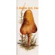 Mushroom  - #SOR56  -  PRINT