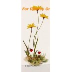 Daisies & Strawberries  - SOR67  -  PRINT