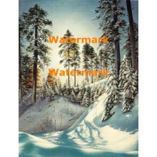 Virgin Snow  - #IAE-4  -  PRINT
