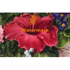 Garland Detail  - #IOR183  -  PRINT