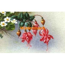 Garland Detail  - #IOR188  -  PRINT