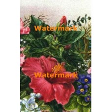 Garland Detail  - #IOR196  -  PRINT