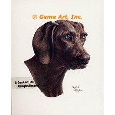 Weimaraner  - #IOR104  -  PRINT