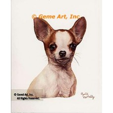 Chihuahua  - #IOR109  -  PRINT