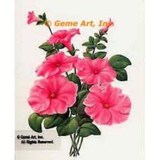 Petunia  - #IOR125  -  PRINT