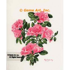 Azalea  - IOR126  -  PRINT