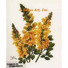 Snapdragons  - #IOR134  -  PRINT
