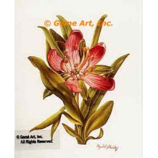 Copper Flower  - #IOR140  -  PRINT