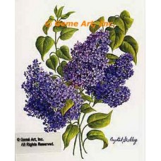 Purple Lilacs  - #IOR142  -  PRINT