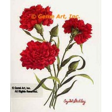 Scarlet Carnations  - #IOR144  -  PRINT