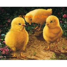 Baby Chicks  - #IOR147  -  PRINT