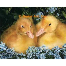 Ducks  - #IOR148  -  PRINT