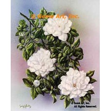 Gardenias  - #IOR223  -  PRINT