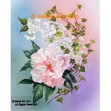 Camelia With Spray  - #IOR244  -  PRINT