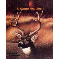 Stag  - #IOR30  -  PRINT