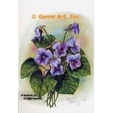 Violets  - #IOR43  -  PRINT