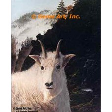 Mountain Goat  - #IOR53  -  PRINT