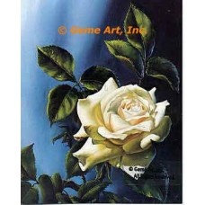 JFK Rose  - IOR6  -  PRINT