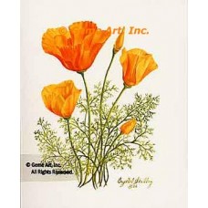 California Poppies  - #IOR73  -  PRINT