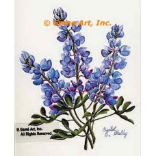 Lupine (Blue Bonnet)  - #IOR88  -  PRINT