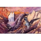 Hawk At Waterfall  - ZOR716  -  PRINT