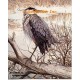 Blue Heron & Sparrows  - #UOR11  -  PRINT