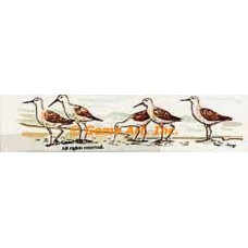 Sandpipers  - #TOR1000  -  PRINT