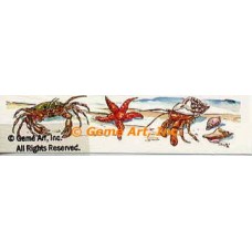Sea Life  - #TOR1002  -  PRINT