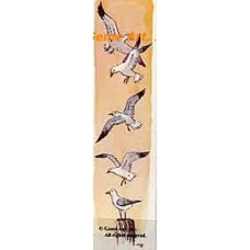 Seagulls  - #TOR657  -  PRINT