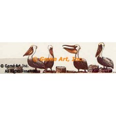 Pelicans  - #TOR1019  -  PRINT