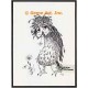 Owl  - #TOR104  -  PRINT
