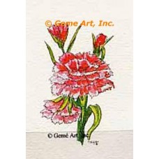 Carnation  - #TOR132  -  PRINT