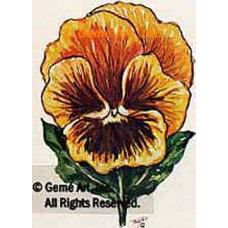 Yellow Gold Pansy  - #TOR136  -  PRINT