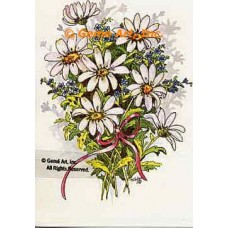 Daisies  - #TOR951  -  PRINT